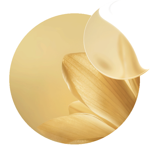 En närmare titt på rölleka