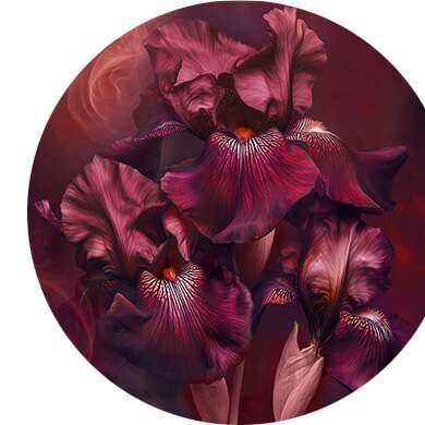 Bitterapelsin, iris, rökelse