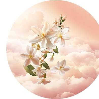 Bergamott, neroli, apelsinblomma