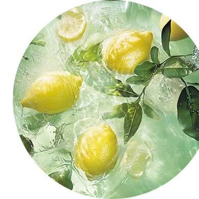 Citron, ros, svart te