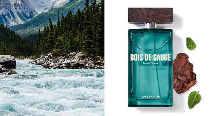 Salvians aromatiska friskhet blandad med guajakträ och patchouli