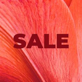 Yves Rocher - -50% på ett brett urval*
