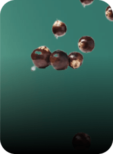 acai botanical active by yves rocher