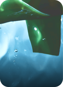 menthe poivree yves rocher