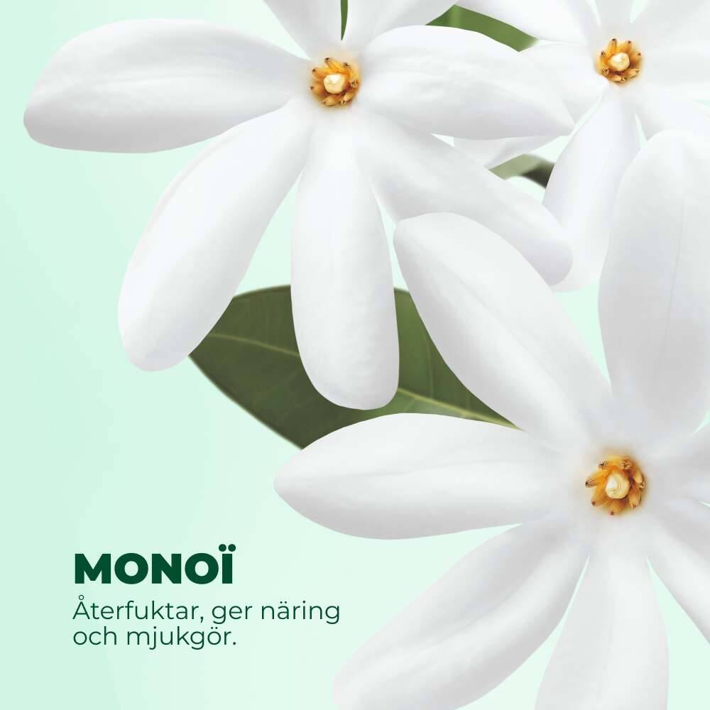 Schampo & Duschgel - Monoi, 400 ml