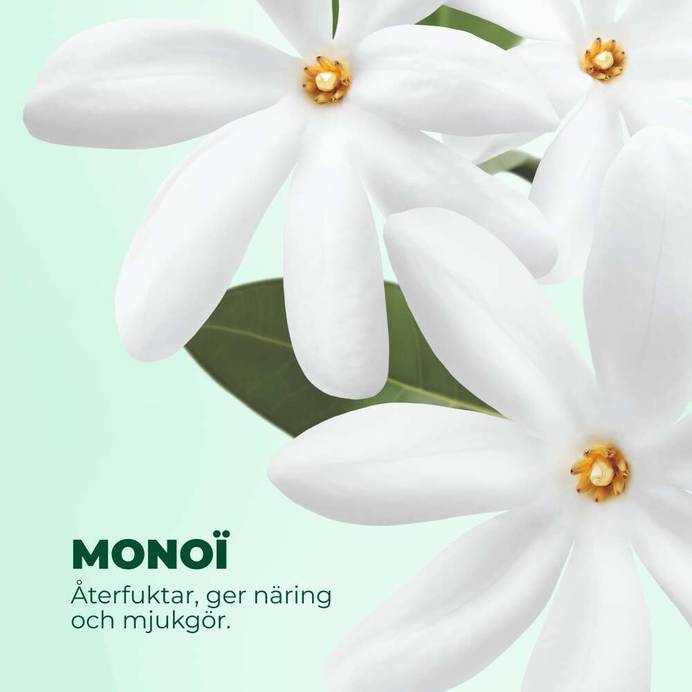 Eco-Refill Monoi Schampo & Duschgel