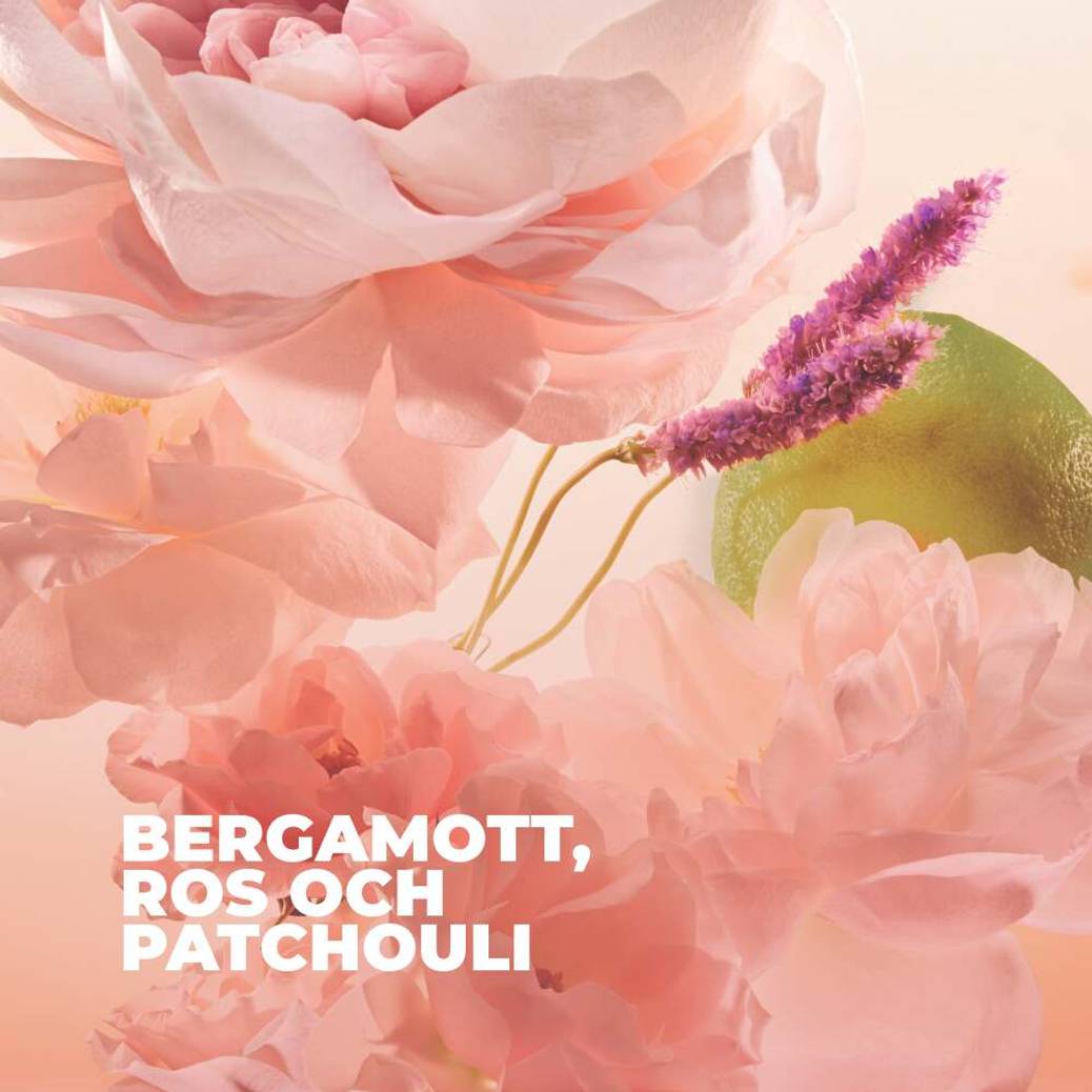 Comme une Evidence - Eau de Parfum