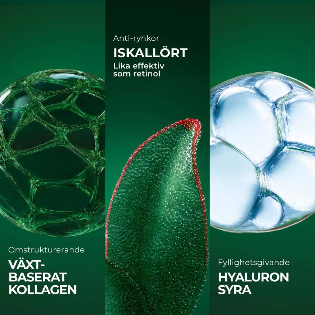Plumpande dagkräm mot rynkor